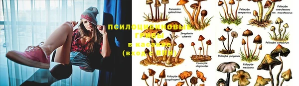 меф VHQ Нефтекумск