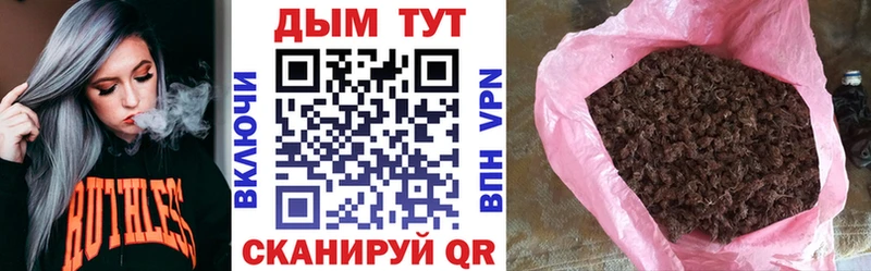 цена   Кемь  Каннабис Amnesia 